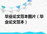 畢業(yè)論文范本圖片（畢業(yè)論文范本）