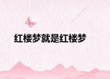 紅樓夢就是紅樓夢