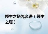 領主之塔怎么進（領主之塔）