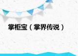 掌柜寶（掌界傳說）