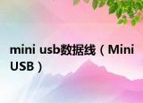 mini usb數(shù)據(jù)線（Mini USB）