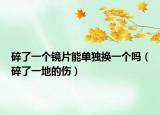 碎了一個(gè)鏡片能單獨(dú)換一個(gè)嗎（碎了一地的傷）