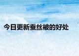 今日更新蠶絲被的好處