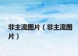 非主流圖片（非主流圖片）
