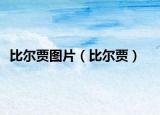 比爾賈圖片（比爾賈）