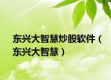 東興大智慧炒股軟件（東興大智慧）