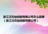 浙江汪吾銓控股有限公司怎么回事（浙江汪吾銓控股有限公司）