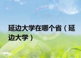 延邊大學(xué)在哪個?。ㄑ舆叴髮W(xué)）