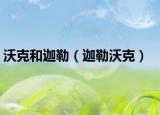 沃克和迦勒（迦勒沃克）