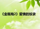 《金瓶梅2》愛情的奴隸