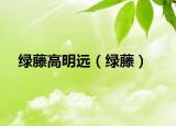 綠藤高明遠（綠藤）