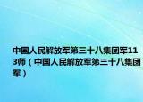 中國人民解放軍第三十八集團軍113師（中國人民解放軍第三十八集團軍）