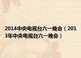 2014中央電視臺六一晚會（2013年中央電視臺六一晚會）