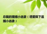 總裁的獵捕小逃妻（誘愛(ài)殿下追捕小逃妻）