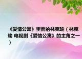 《愛(ài)情公寓》里面的林宛瑜（林宛瑜 電視劇《愛(ài)情公寓》的主角之一）