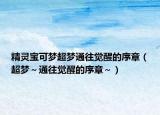 精靈寶可夢(mèng)超夢(mèng)通往覺醒的序章（超夢(mèng)～通往覺醒的序章～）