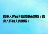 誘妻入懷前夫請溫柔電視劇（誘妻入懷前夫我拒婚）