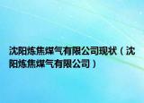 沈陽煉焦煤氣有限公司現(xiàn)狀（沈陽煉焦煤氣有限公司）