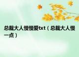 總裁大人慢慢愛txt（總裁大人慢一點(diǎn)）