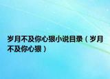 歲月不及你心狠小說目錄（歲月不及你心狠）