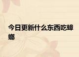 今日更新什么東西吃蟑螂