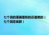 七個洞的蓮藕是粉的還是脆的（七個洞崖墓群）