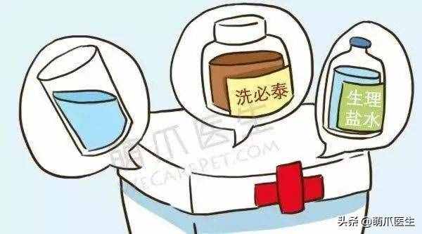 這14個(gè)養(yǎng)寵竅門，讓你省錢又省心！