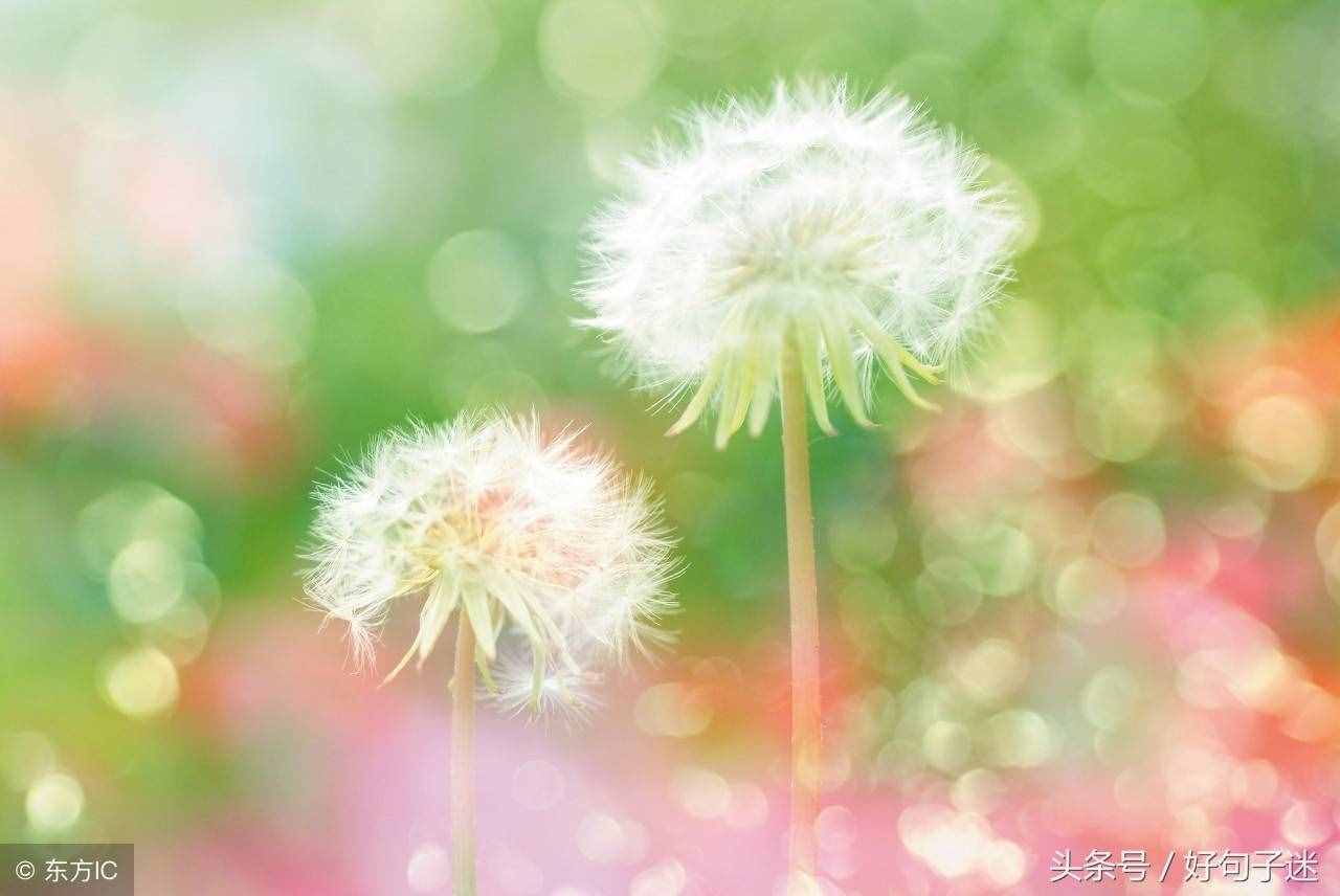 好聽又有內(nèi)涵的微信名字，有深度的網(wǎng)名大全