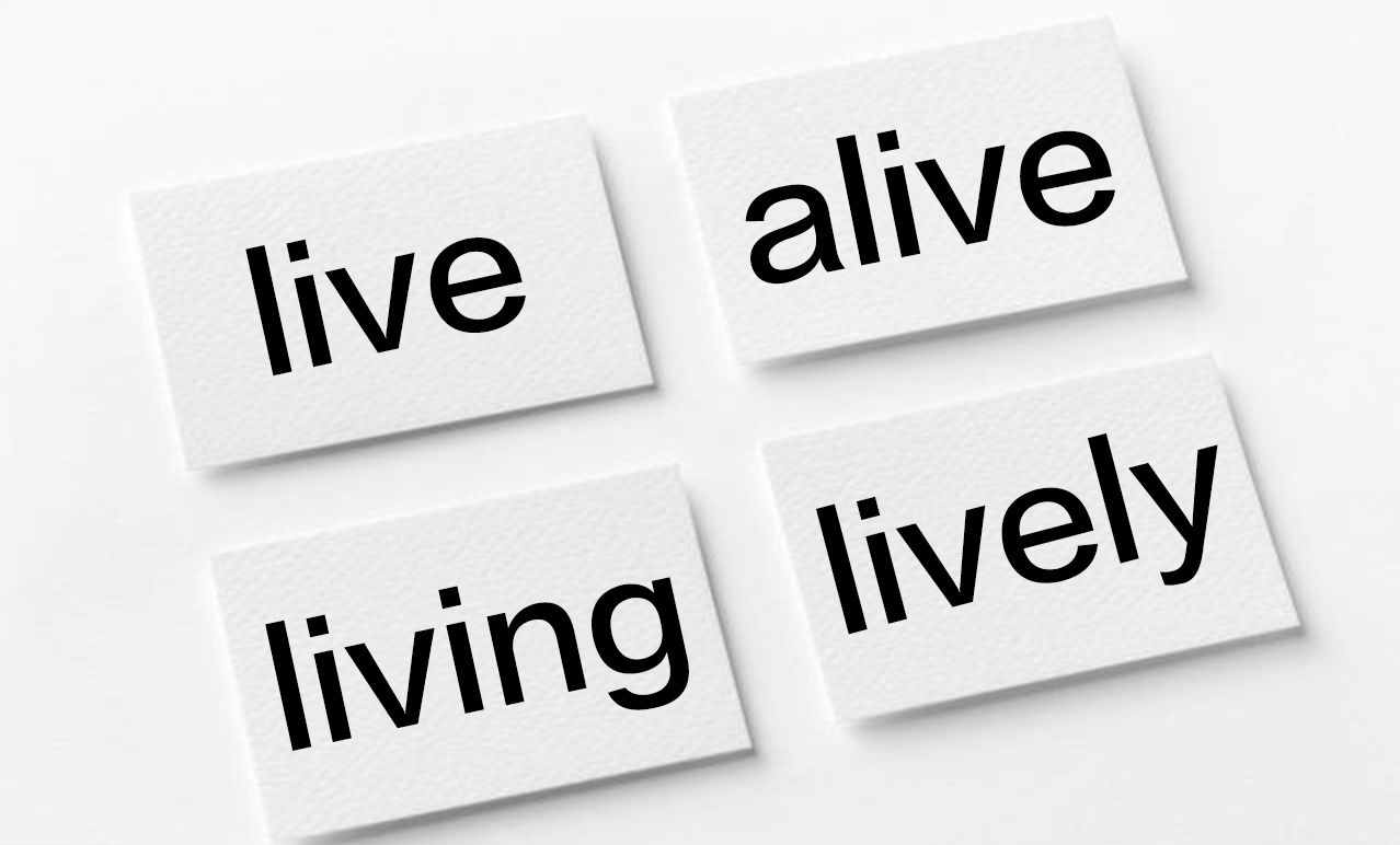 你真的會(huì)區(qū)分live、life、alive、living的用法嗎？