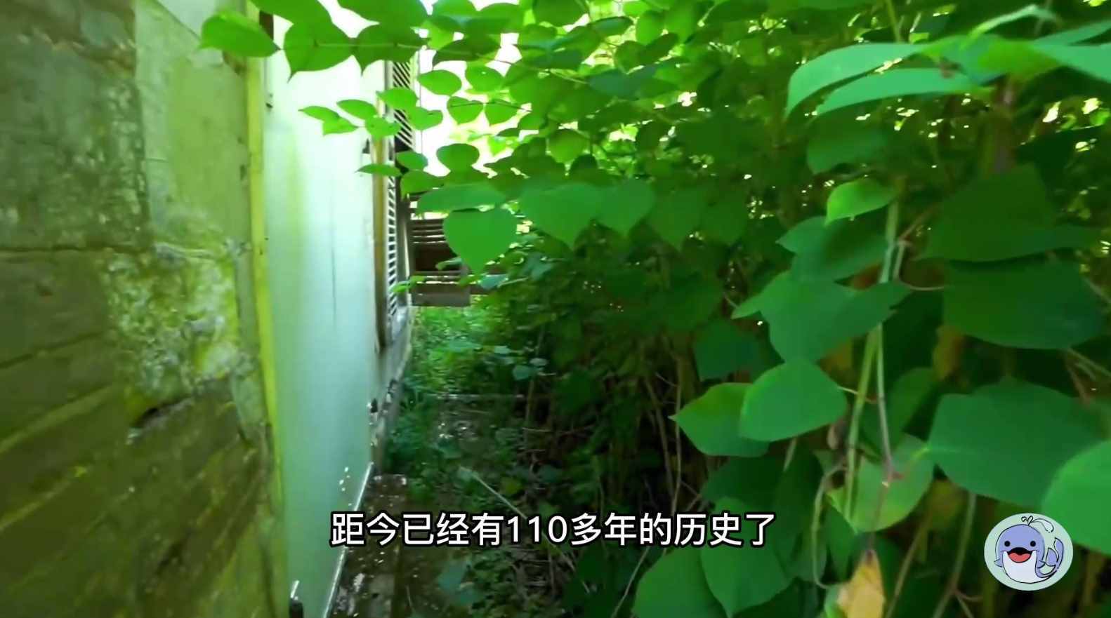 美國(guó)森林廢棄38年的城堡，一位中國(guó)女性來到這里，孤獨(dú)的生活