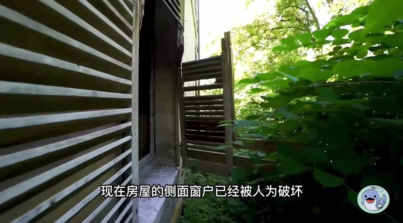 美國(guó)森林廢棄38年的城堡，一位中國(guó)女性來到這里，孤獨(dú)的生活