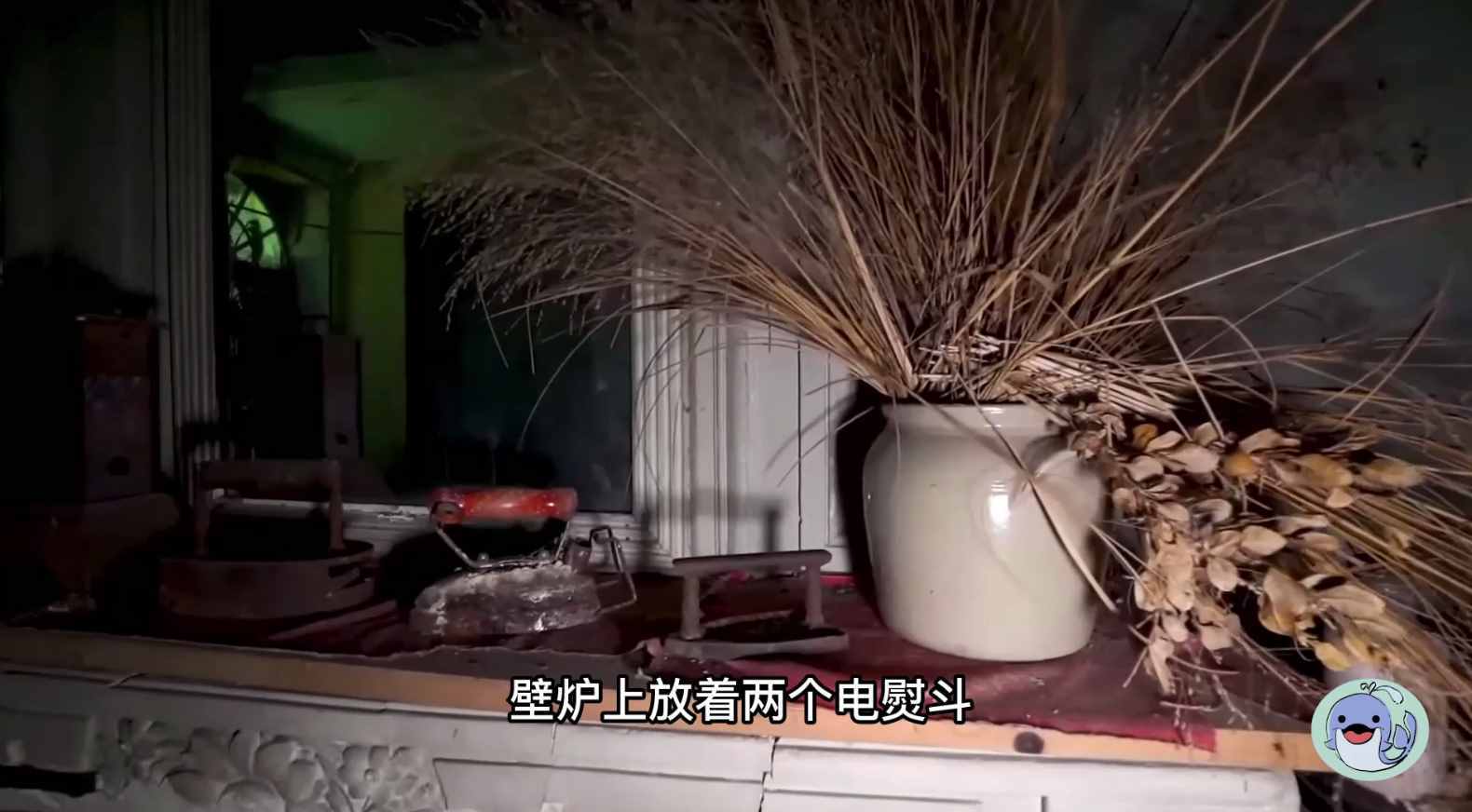 美國(guó)森林廢棄38年的城堡，一位中國(guó)女性來到這里，孤獨(dú)的生活