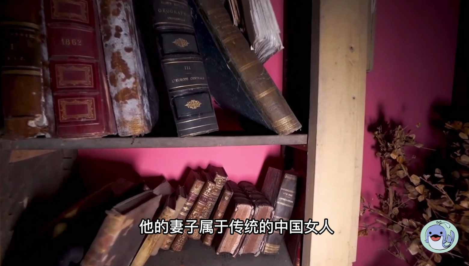 美國(guó)森林廢棄38年的城堡，一位中國(guó)女性來到這里，孤獨(dú)的生活