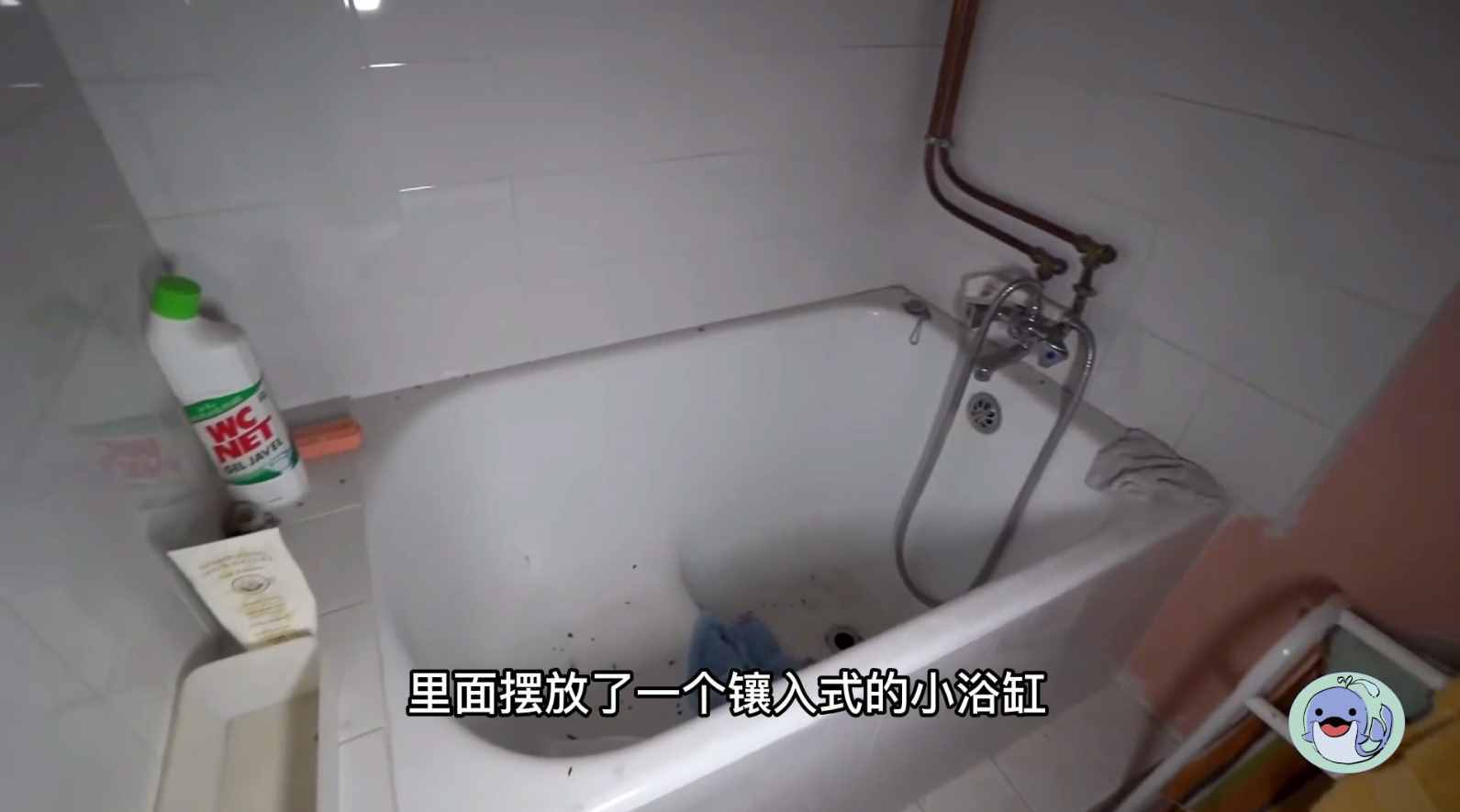 美國(guó)森林廢棄38年的城堡，一位中國(guó)女性來到這里，孤獨(dú)的生活