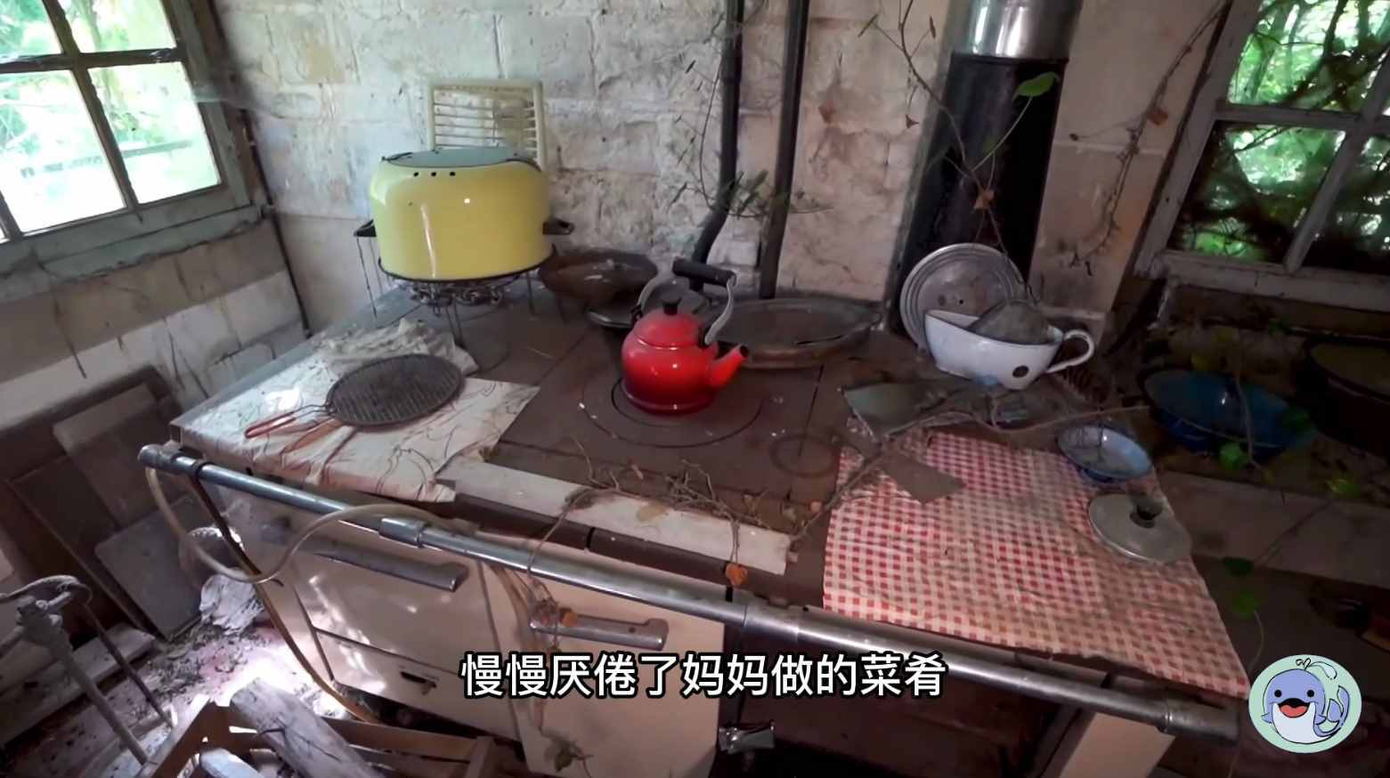 美國(guó)森林廢棄38年的城堡，一位中國(guó)女性來到這里，孤獨(dú)的生活