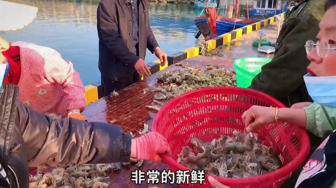 海邊人：皮皮蝦上有個(gè)“拉鏈”，3秒剝一個(gè)，方法真實(shí)用