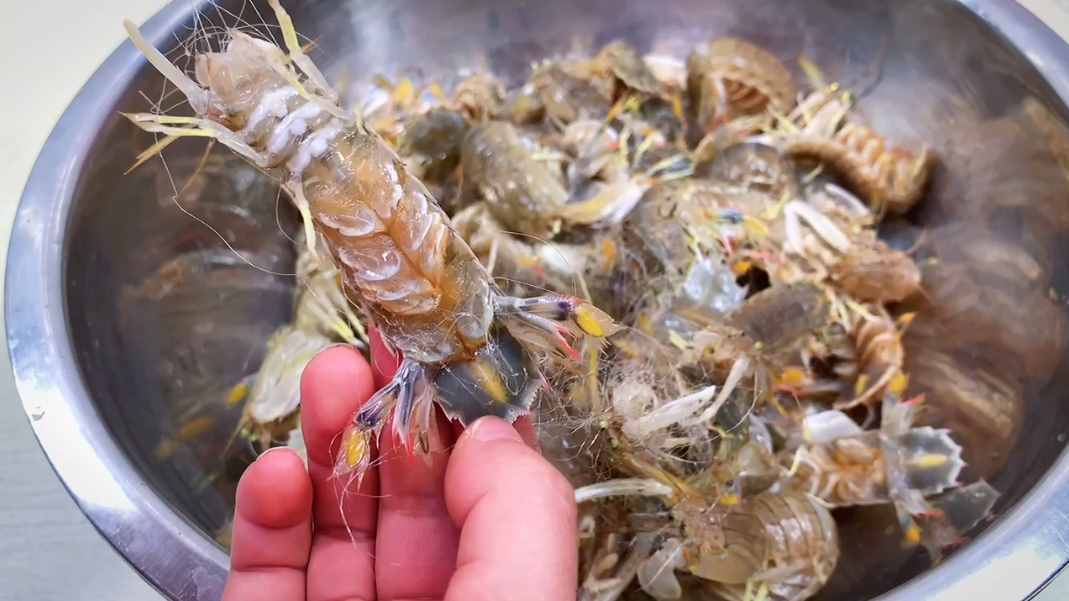 海邊人：皮皮蝦上有個(gè)“拉鏈”，3秒剝一個(gè)，方法真實(shí)用
