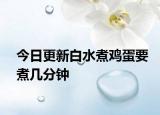 今日更新白水煮雞蛋要煮幾分鐘