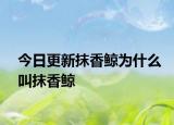 今日更新抹香鯨為什么叫抹香鯨