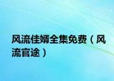 風(fēng)流佳婿全集免費(fèi)（風(fēng)流官途）