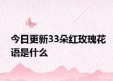 今日更新33朵紅玫瑰花語是什么