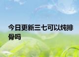 今日更新三七可以燉排骨嗎