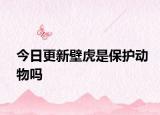 今日更新壁虎是保護(hù)動物嗎