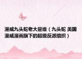 漫威九頭蛇老大是誰（九頭蛇 美國漫威漫畫旗下的超級反派組織）