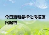 今日更新怎樣讓肉松蓬松起絨