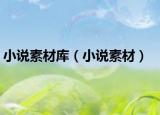小說素材庫（小說素材）