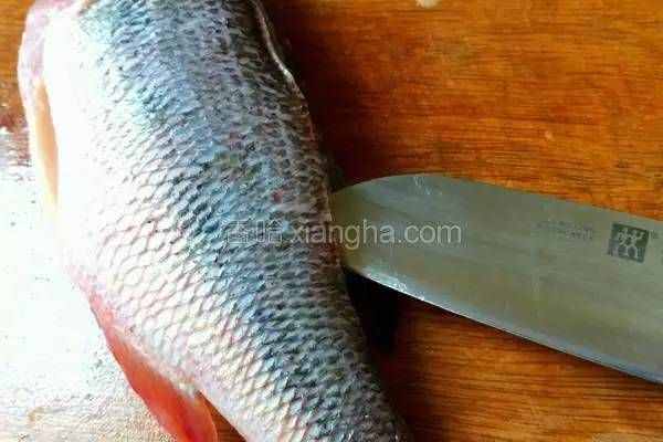 這方法切魚片剔魚骨，成功率100%！