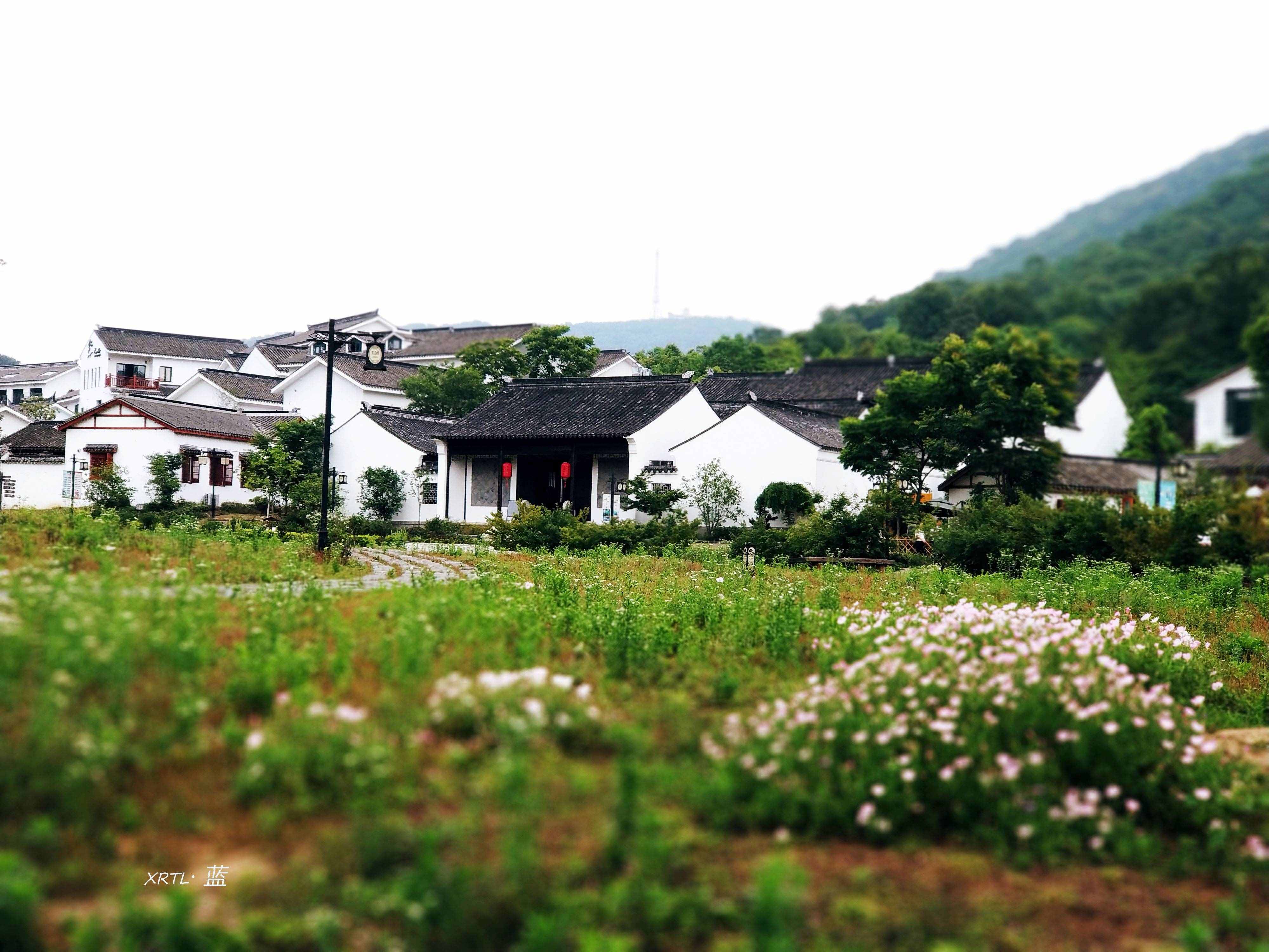 疫情后出行不妨從短途自駕開(kāi)始，南京周邊12個(gè)好地方任你挑選
