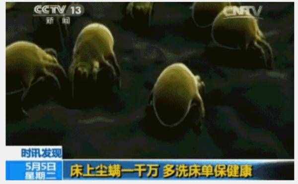 天氣漸涼 如何防螨除螨？