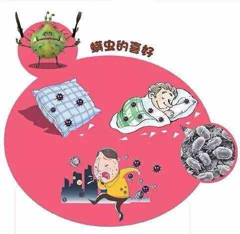 天氣漸涼 如何防螨除螨？